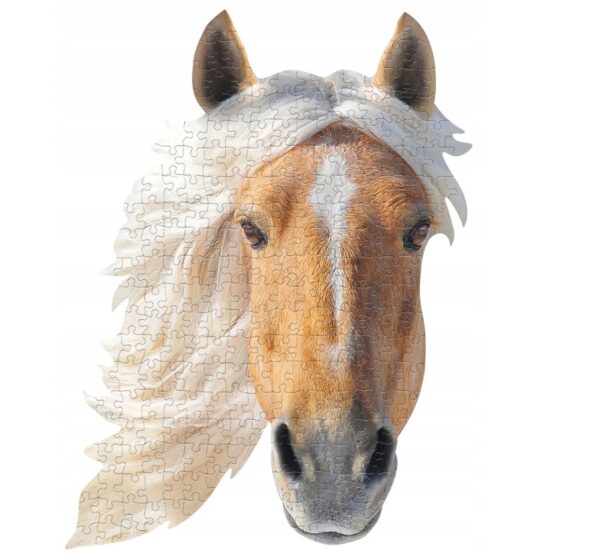 Darilo za Ljubitelje Konj - Puzzle - Image 6