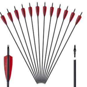 Puščice za Lokostrelstvo x12