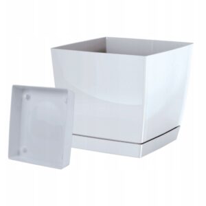 Lonec za Bonsaje 3kos.