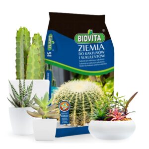 Zemlja za Kaktuse x4 20KG