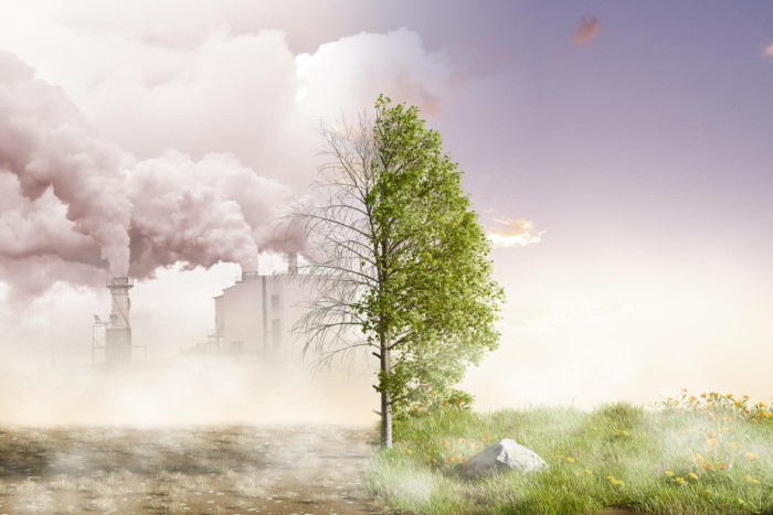 Kako Človek Posega v Naravo?