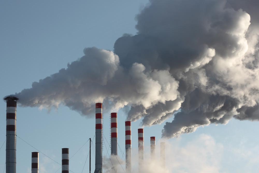 Kako Človek Posega v Naravo 4