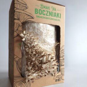 Komplet za Gojenje Gob 2kos.